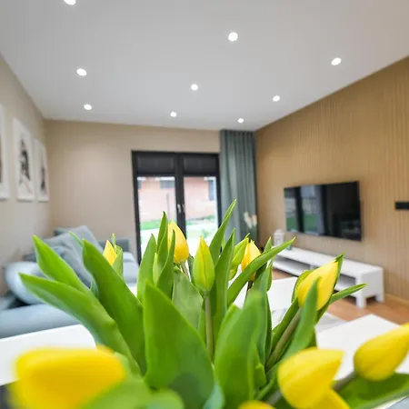 Apartamento Comfort By Housine *